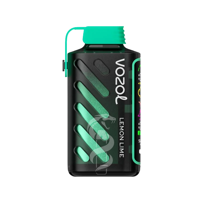 VOZOL-GEAR-POWER-20000