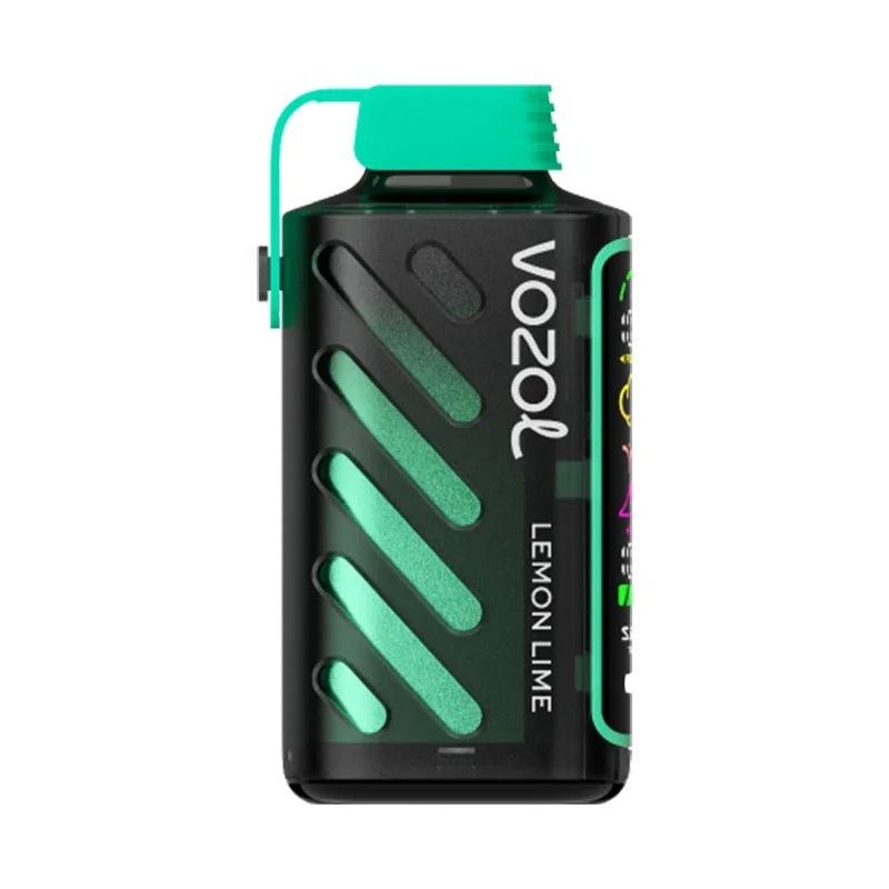 VOZOL GEAR POWER 20000